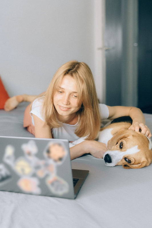 QR Dog Tags: Protecting and Personalizing Your Pet's Safety - PawFurEver