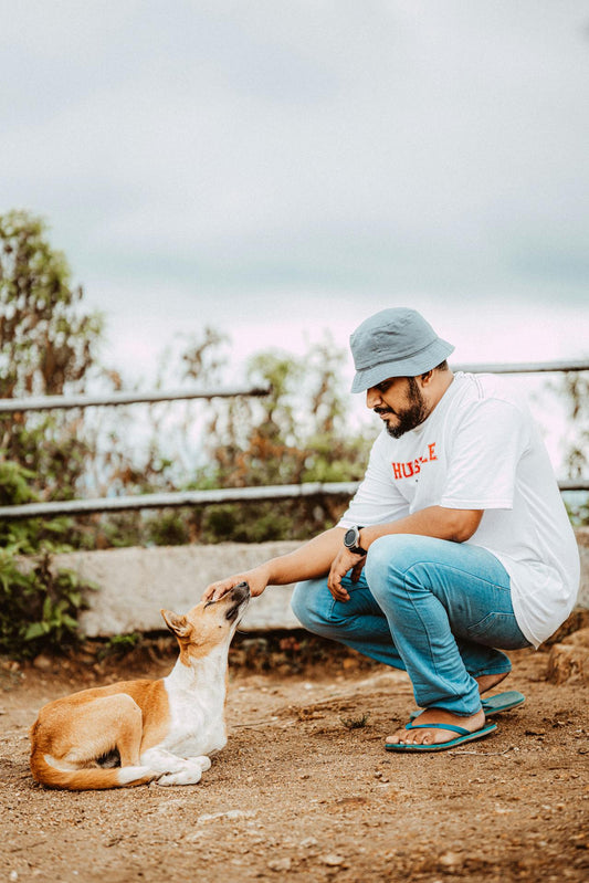 The Crucial Role of Dog Tags in Pet Safety: A Comprehensive Guide - PawFurEver