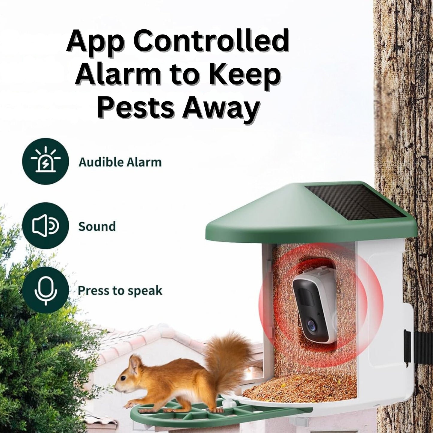 Bird Feeder - PawFurEver Smart Bird Feeder with Camera