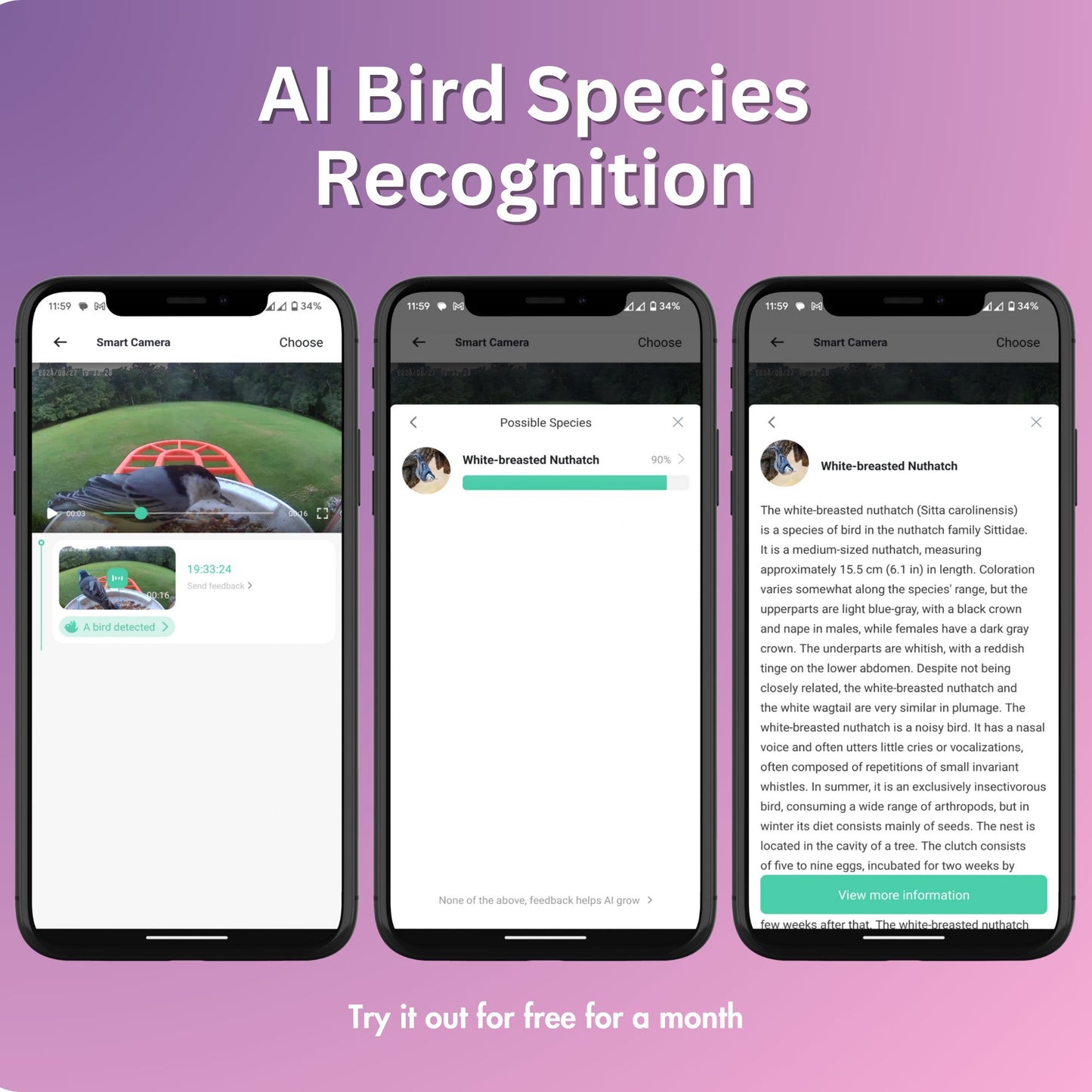 Bird Feeder - PawFurEver Smart Bird Feeder with Camera