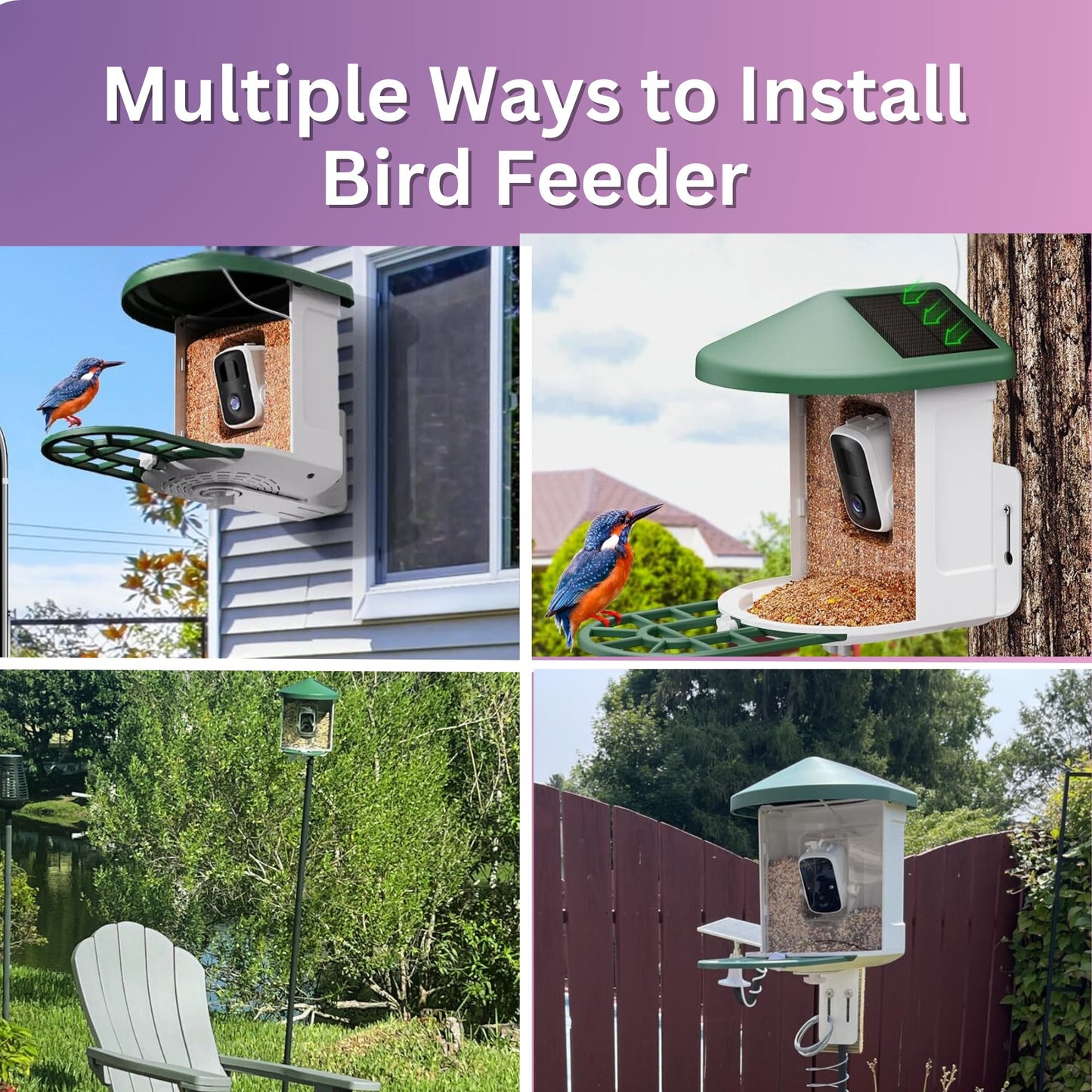 Bird Feeder - PawFurEver Smart Bird Feeder with Camera