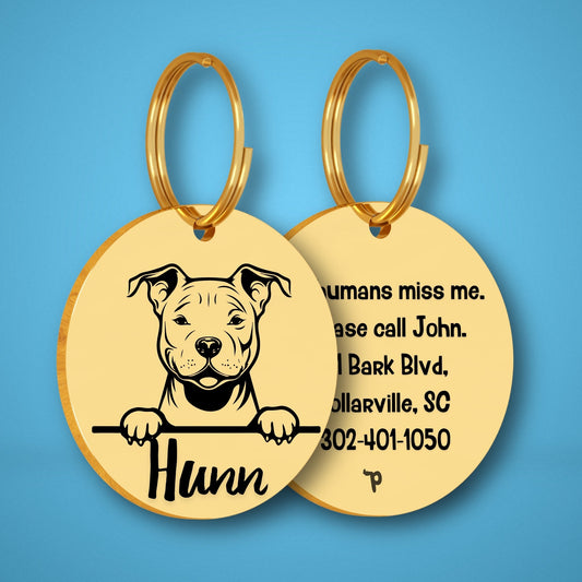 Breed Dog Tag - Pitbull Unique Dog Tag with Peek-a-Boo Portrait (Style 2)