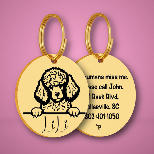 Breed Dog Tag - Poodle Unique Dog Tag with Peek-a-Boo Portrait (Style 2)