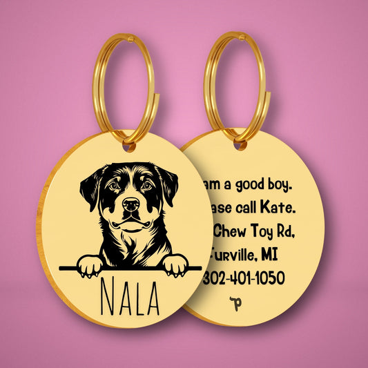 Breed Dog Tag - Rottweiler Unique Dog Tag with Peek-a-Boo Portrait (Style 2)