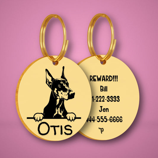 Dobermann Style 2 personalized dog tag, circle shape in gold stainless steel with peek-a-boo portrait