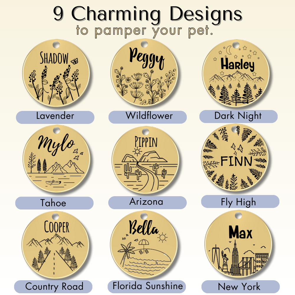 Design options
