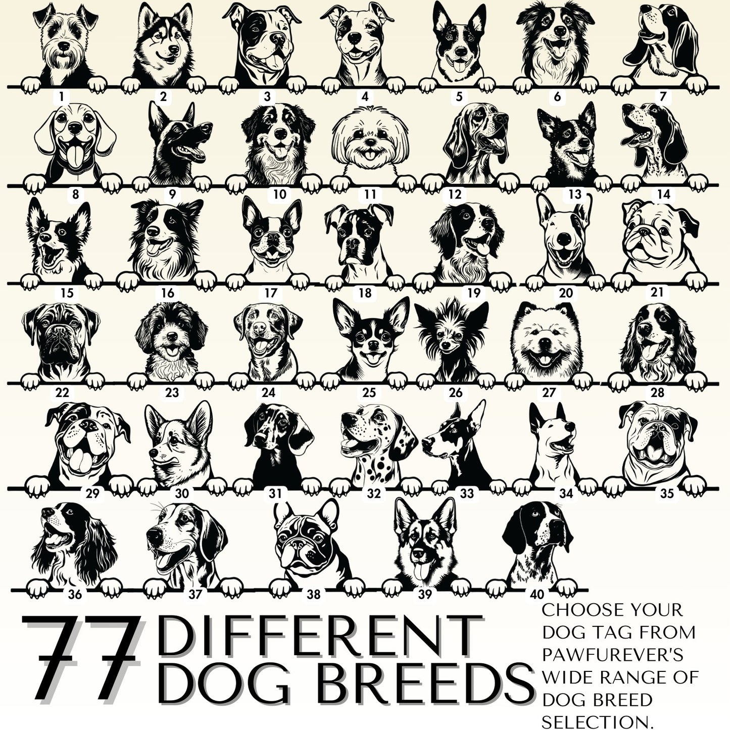 Breed Dog Tag - Personalized Breed Dog Tag (Bernese Mount)