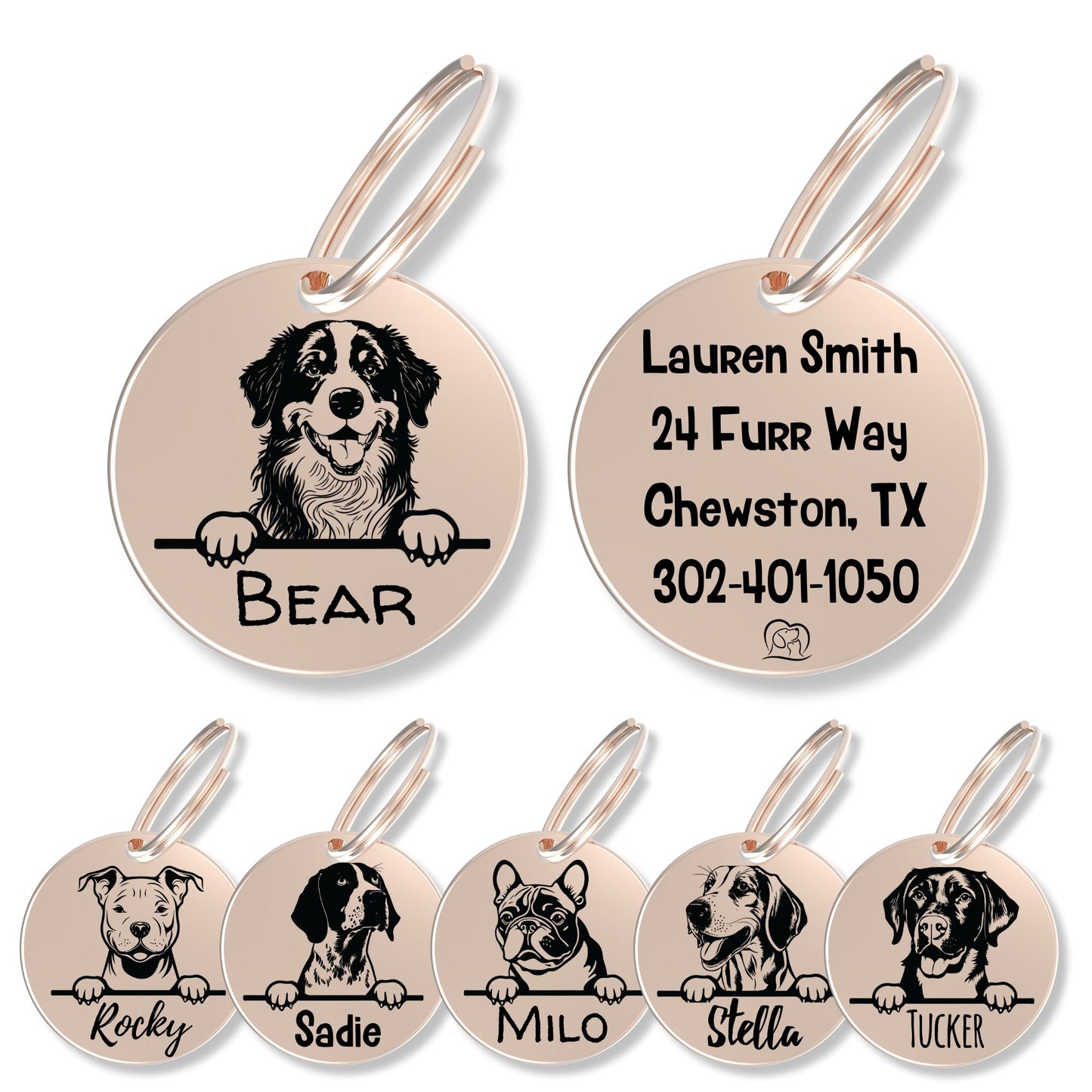 Breed Dog Tag - Personalized Breed Dog Tag (Bernese Mount)