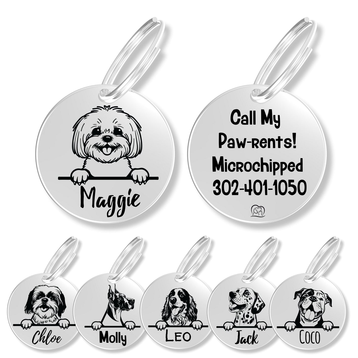 Breed Dog Tag - Personalized Breed Dog Tag (Bichon)