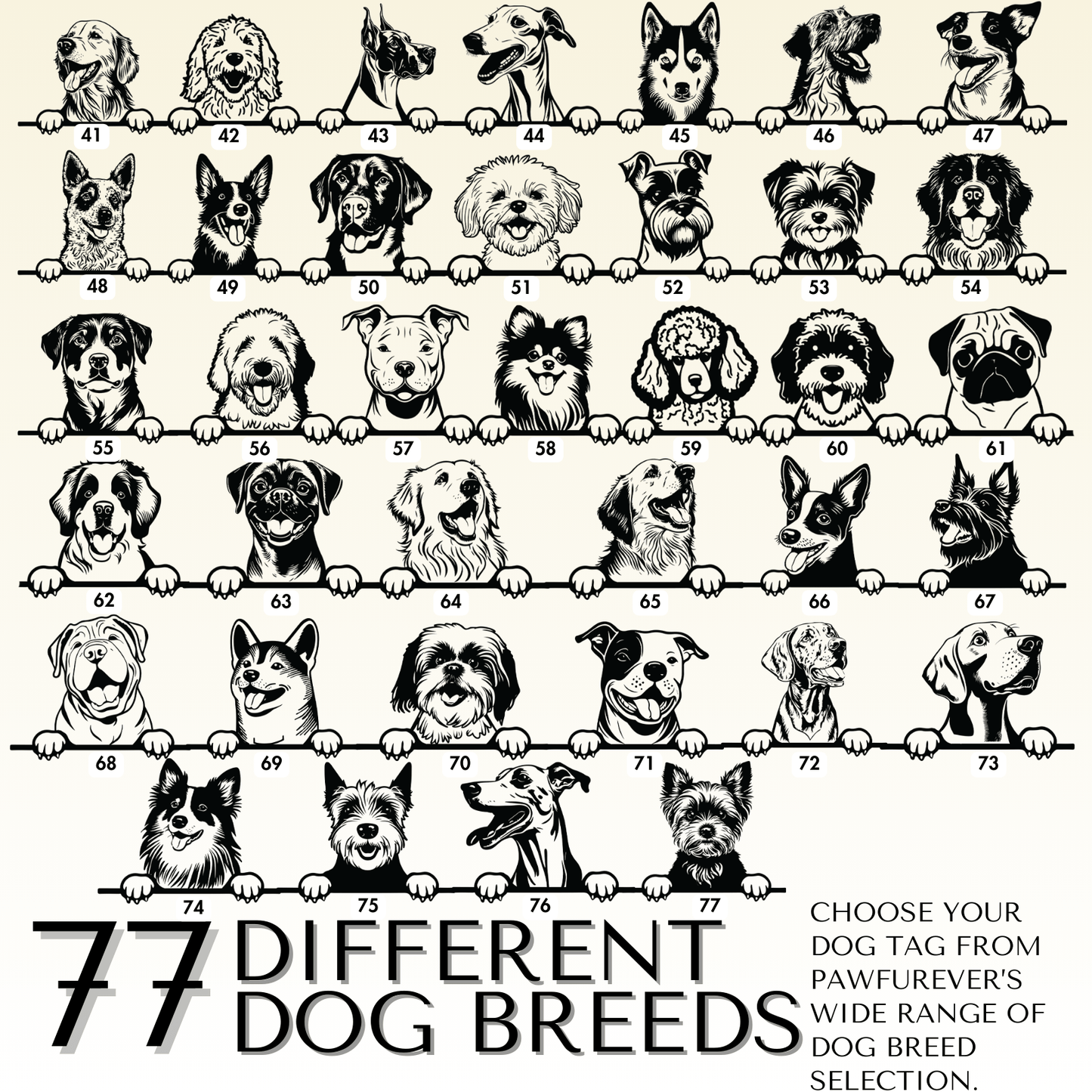 Breed Dog Tag - Personalized Breed Dog Tag (Pyranees)