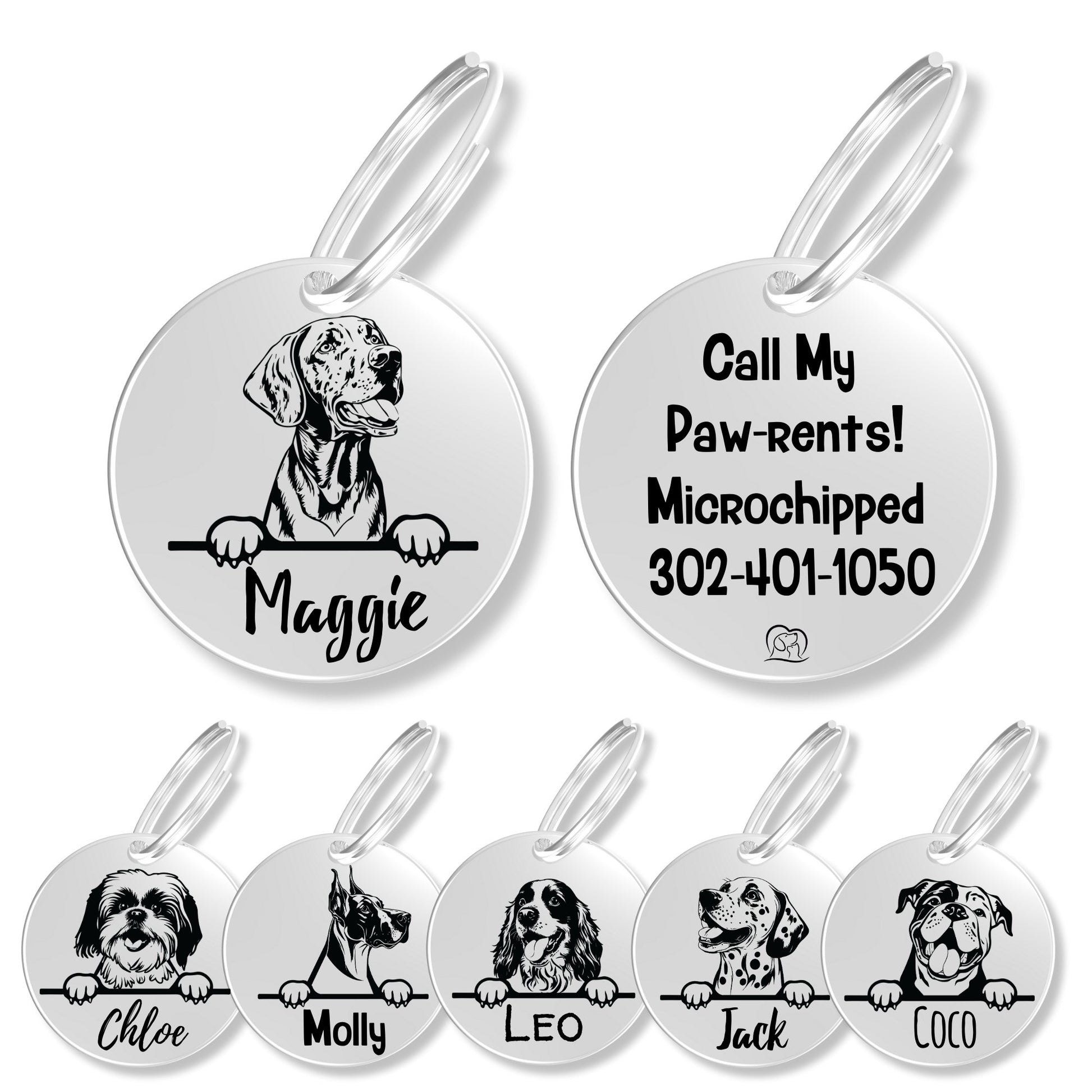 Breed Dog Tag - Personalized Breed Dog Tag (Vizsla)