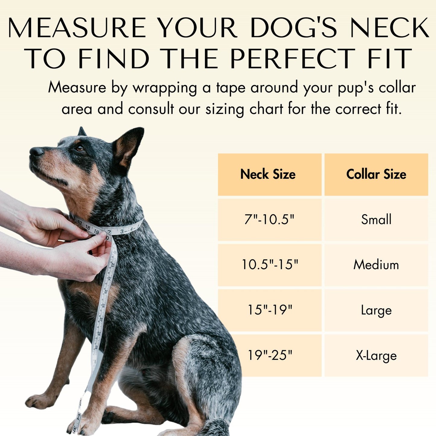Collars - Waterproof Blue & Orange Dog Collars - Stylish and Smell Free (Blue, Orange)