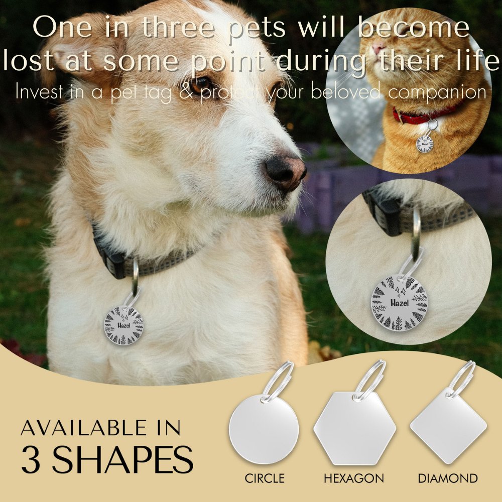 Engraved Tags - Customized Dog Tags for Pet Safety and Style (Circle, Silver)
