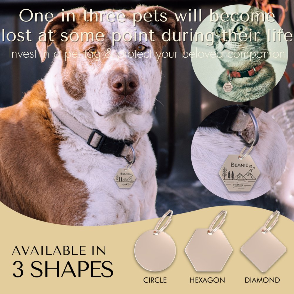 Engraved Tags - Personalized Engraved Dog Tags for Pet Safety and Style (Hexagon, Rose Gold)