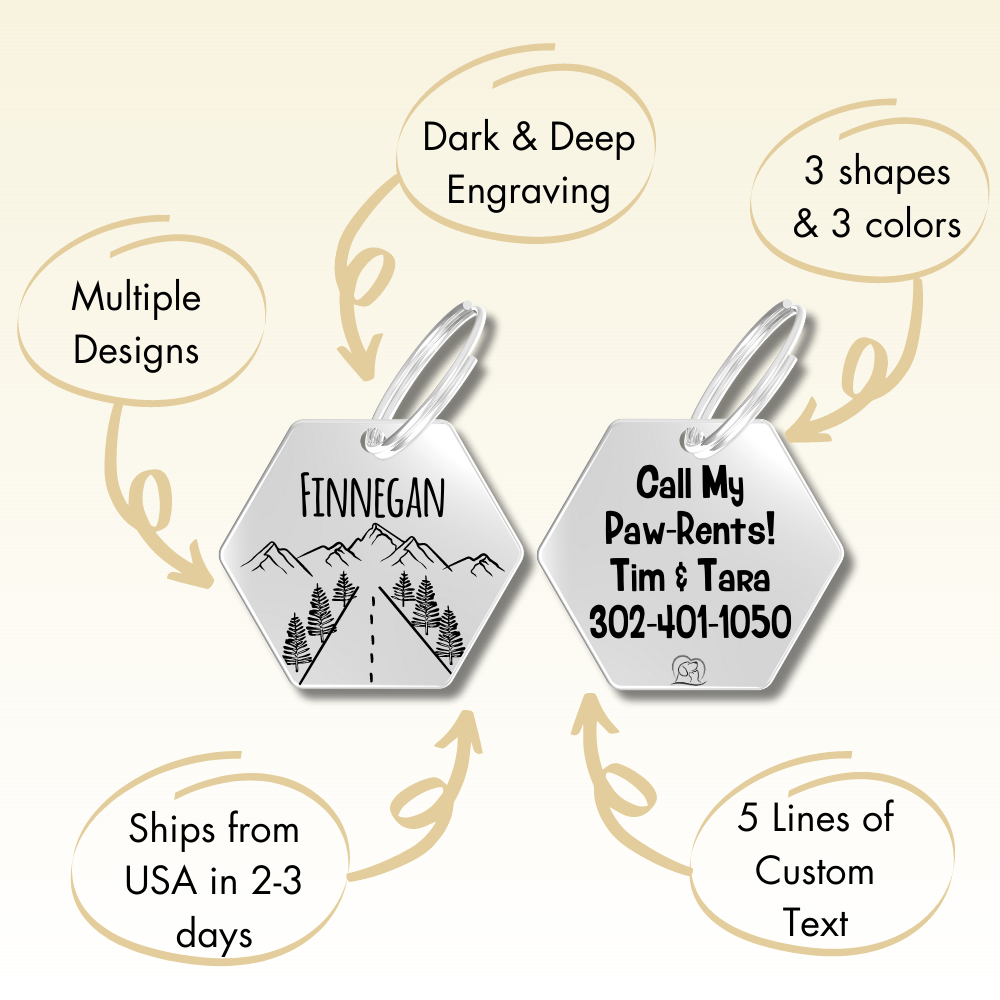 Engraved Tags - Personalized Engraved Dog Tags for Pet Safety and Style (Hexagon, Silver)