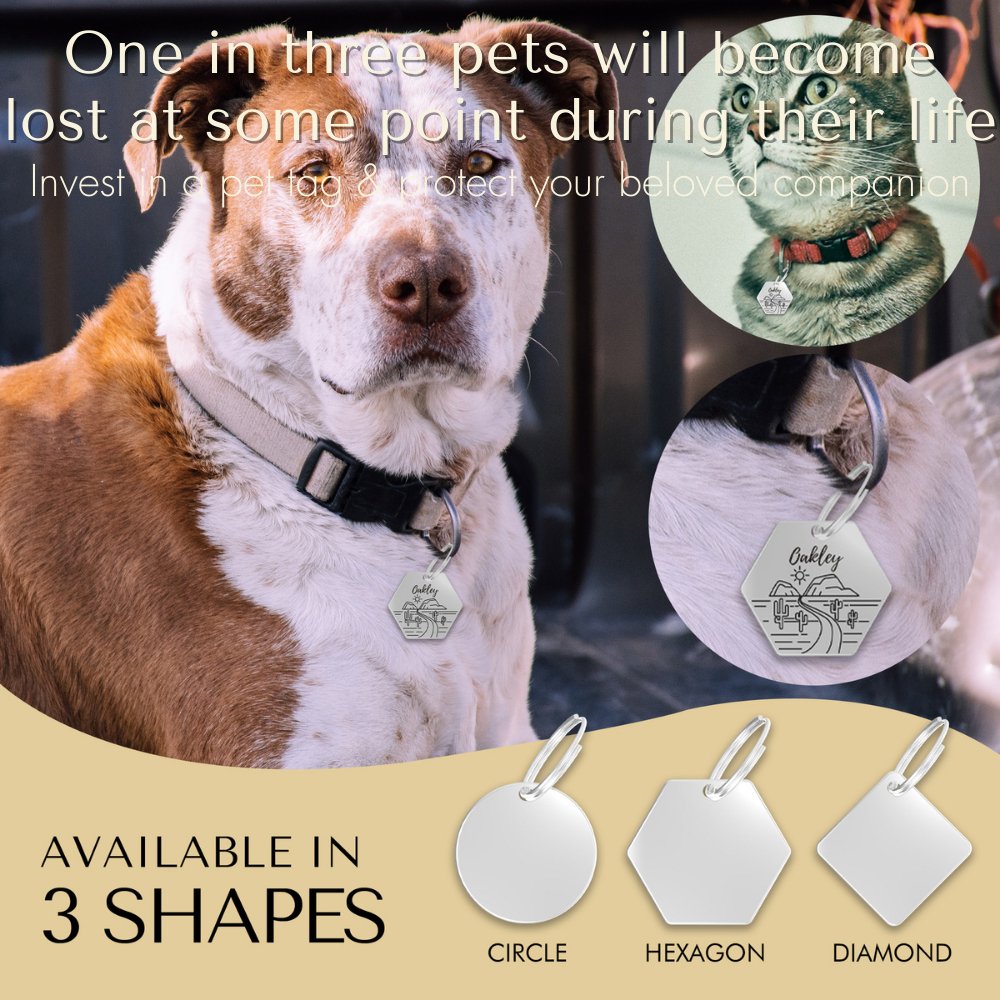 Engraved Tags - Personalized Engraved Dog Tags for Pet Safety and Style (Hexagon, Silver)