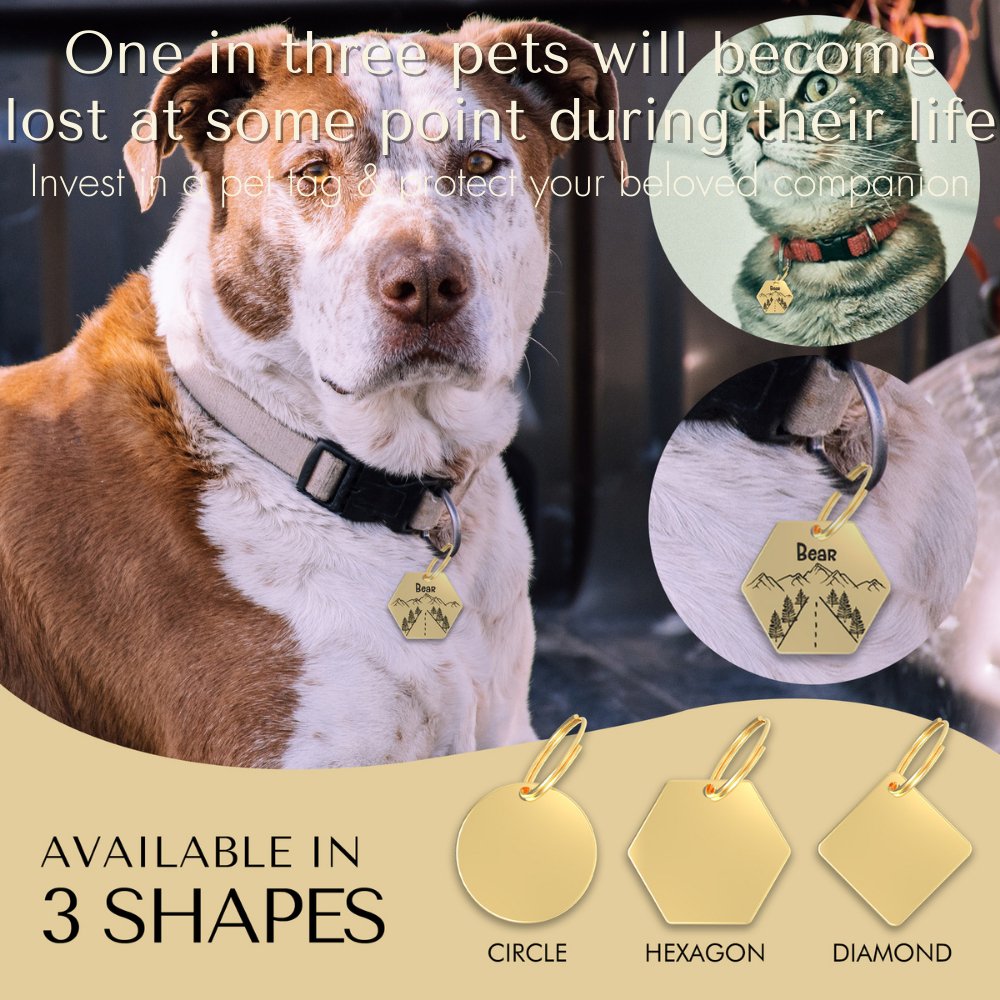 Engraved Tags - Personalized Engraved Gold Dog Tags for Pet Safety and Style (Hexagon, Gold)