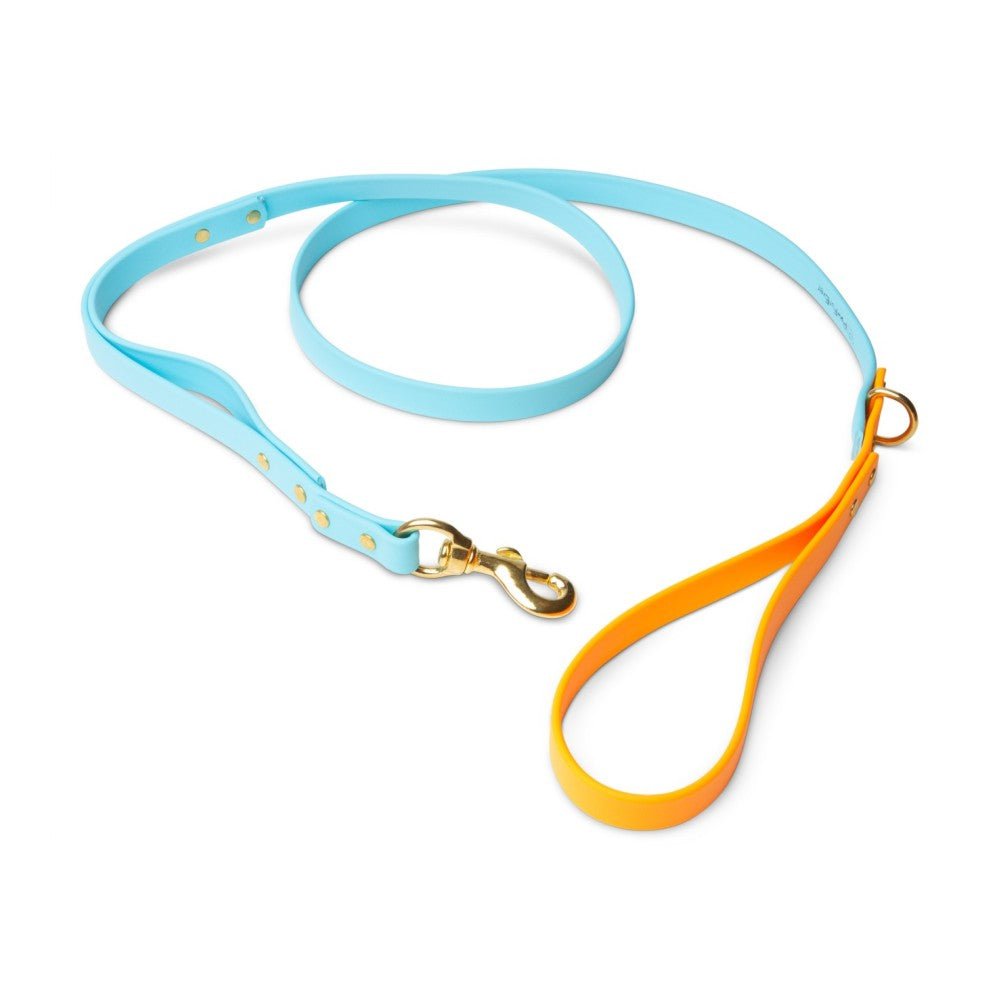 Leashes - Biothane Dog Leashes (Blue/Orange)