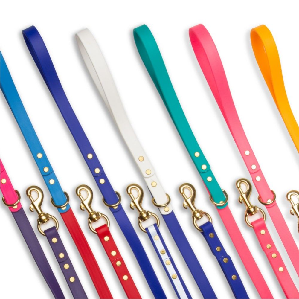 Leashes - Biothane Dog Leashes (Pink/Teal)