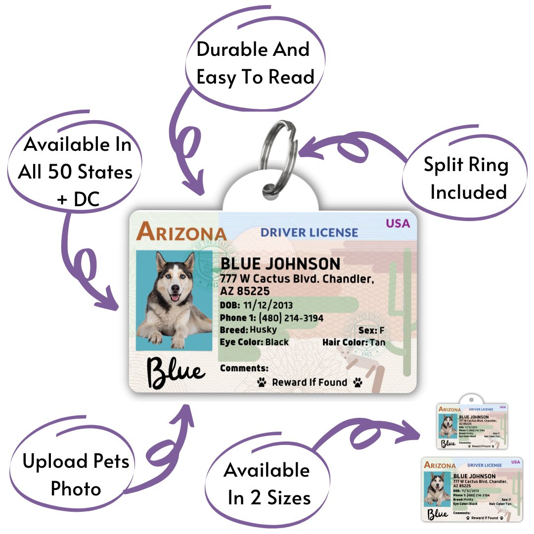 License Tag - License Tag (Arizona)