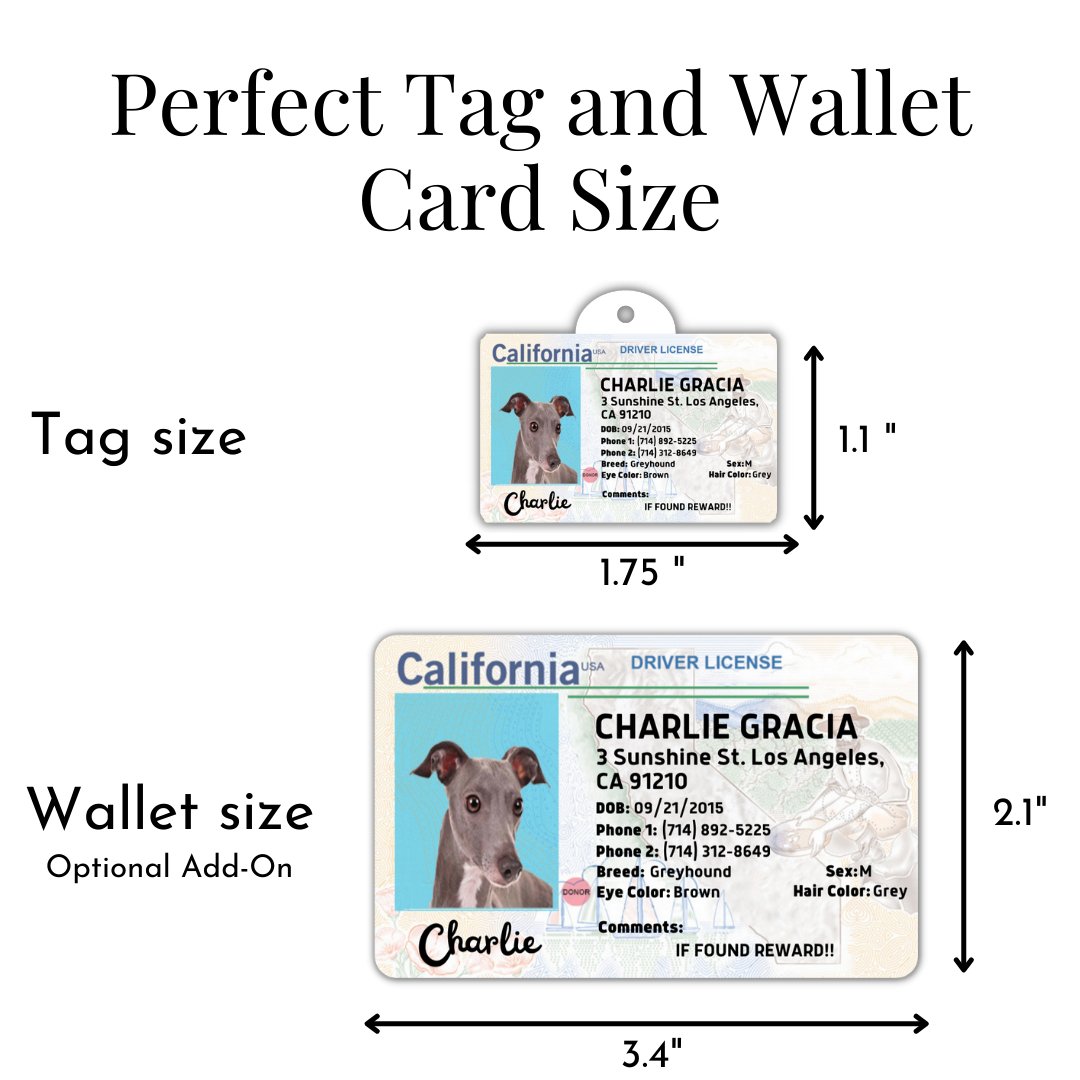 License Tag - License Tag (California)