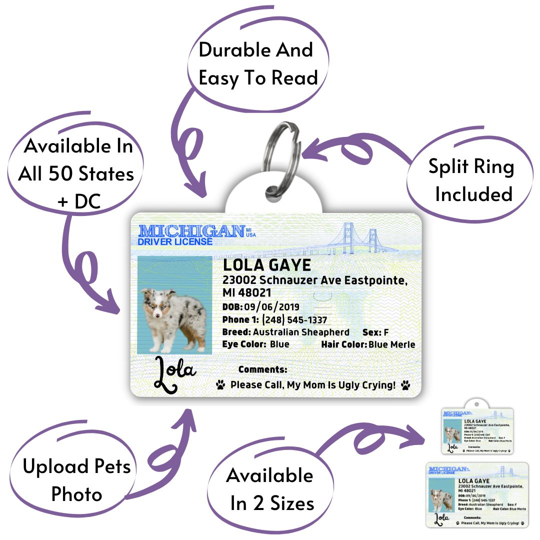License Tag - License Tag (Michigan)