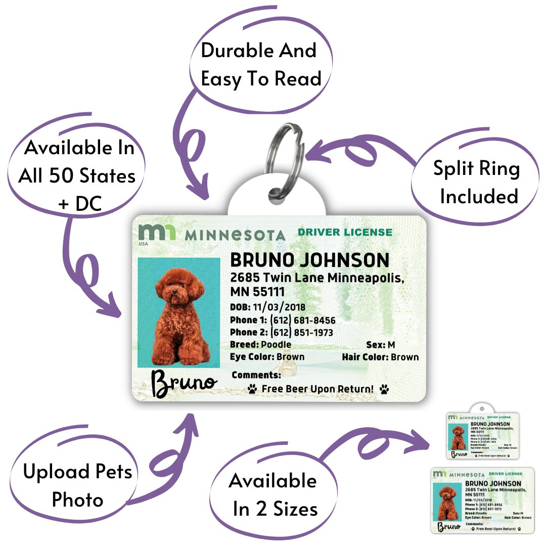 License Tag - License Tag (Minnesota)