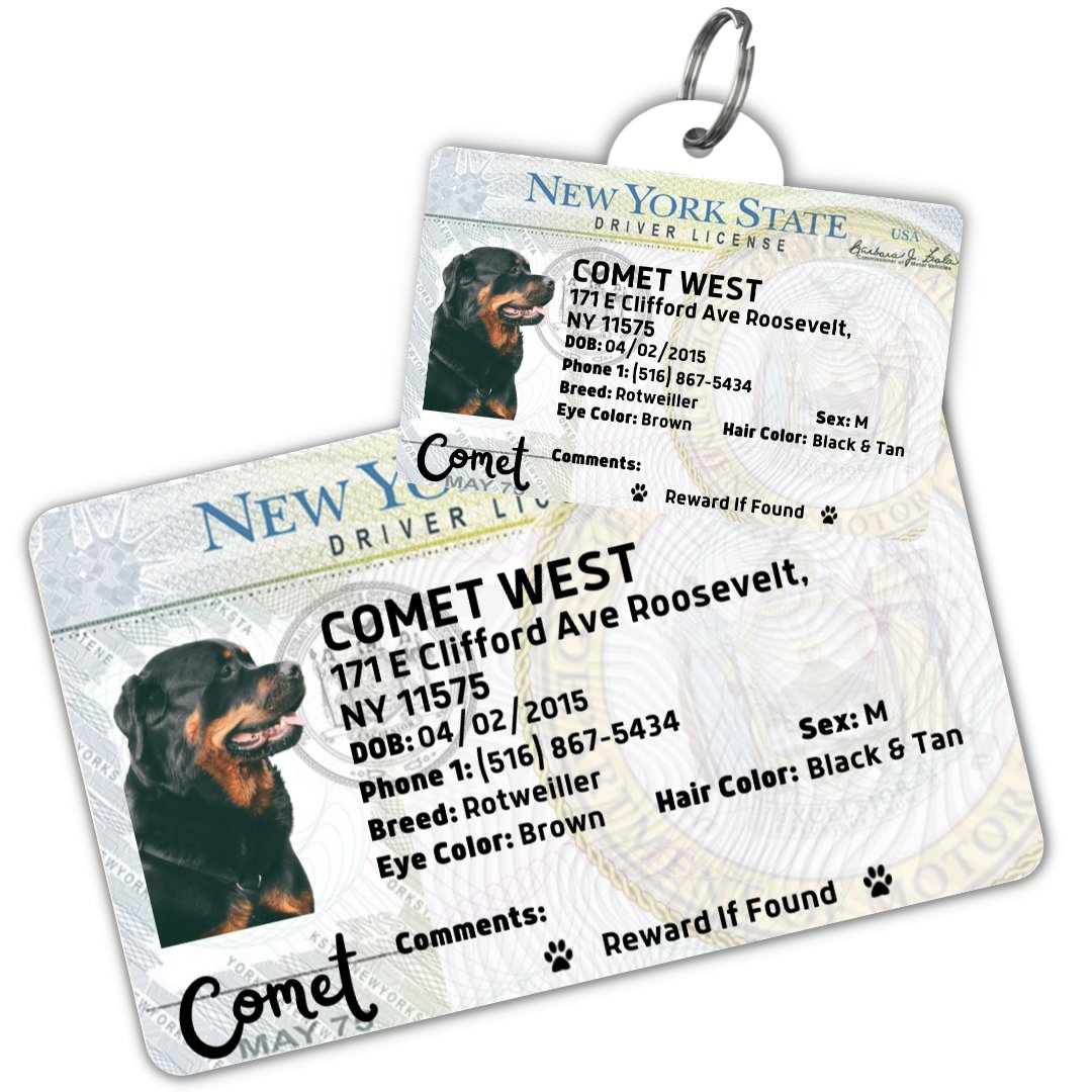 License Tag - NYC Dog License Tag (New York)