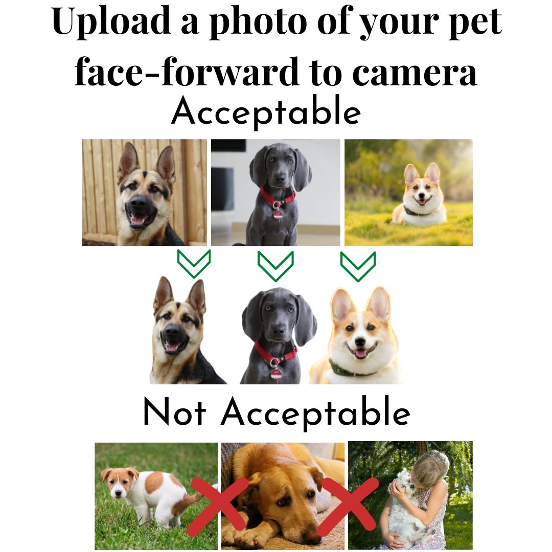 Photo Tag - Photo Tag (Animal)