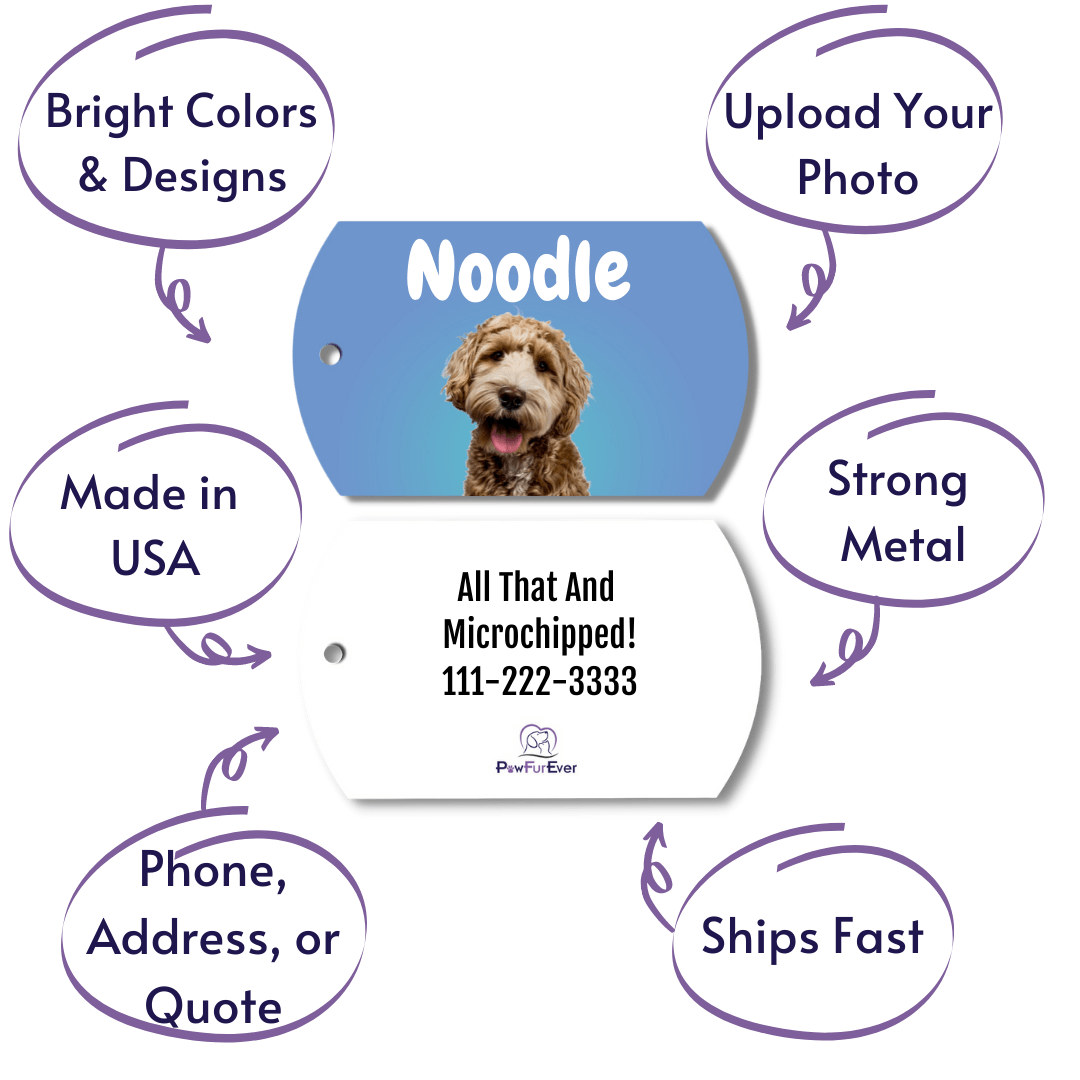 Photo Tag - Photo Tag (Blue)
