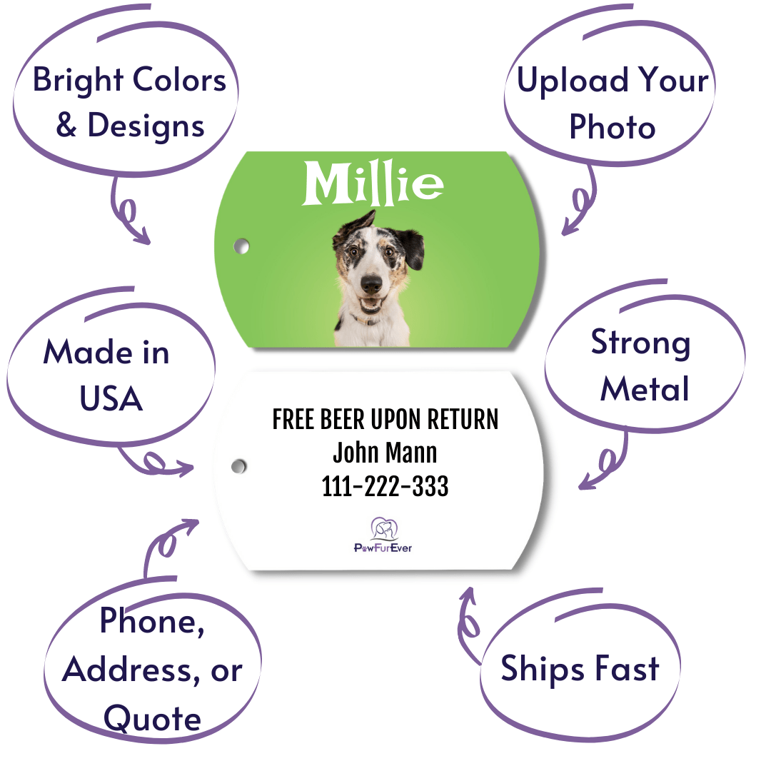 Photo Tag - Photo Tag (Green)