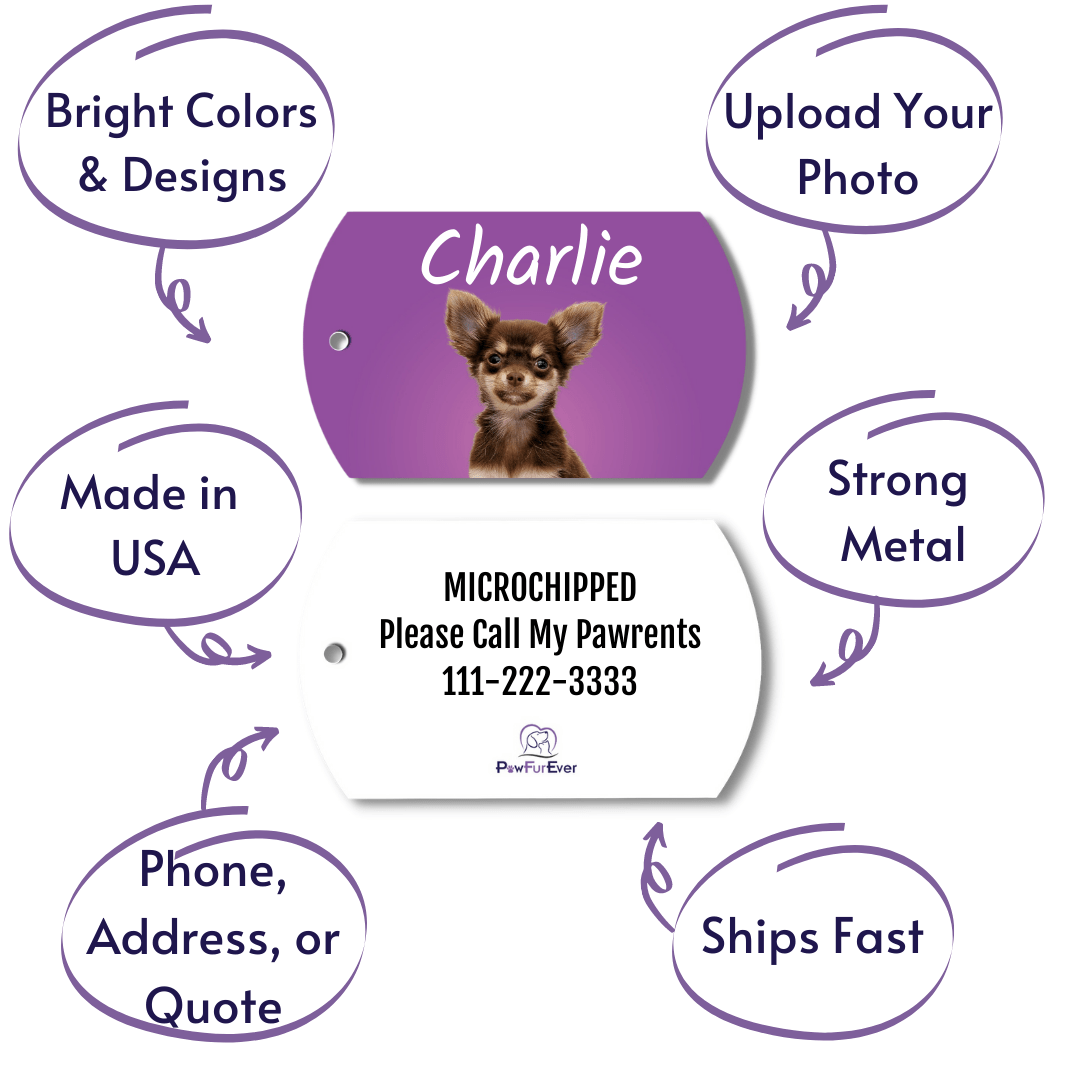 Photo Tag - Photo Tag (Purple)