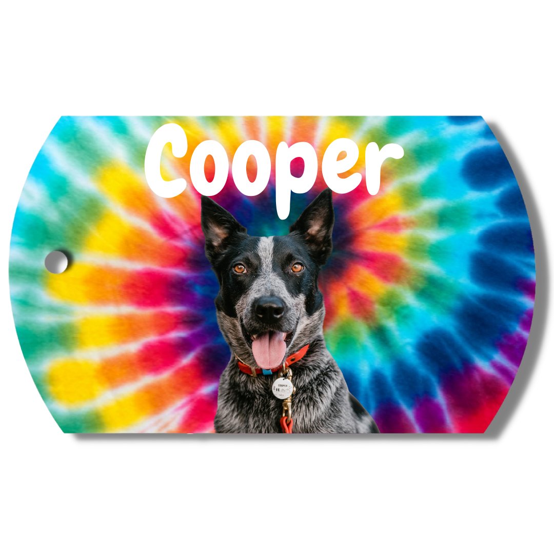 Photo Tag - Photo Tag (Tie-Dye)