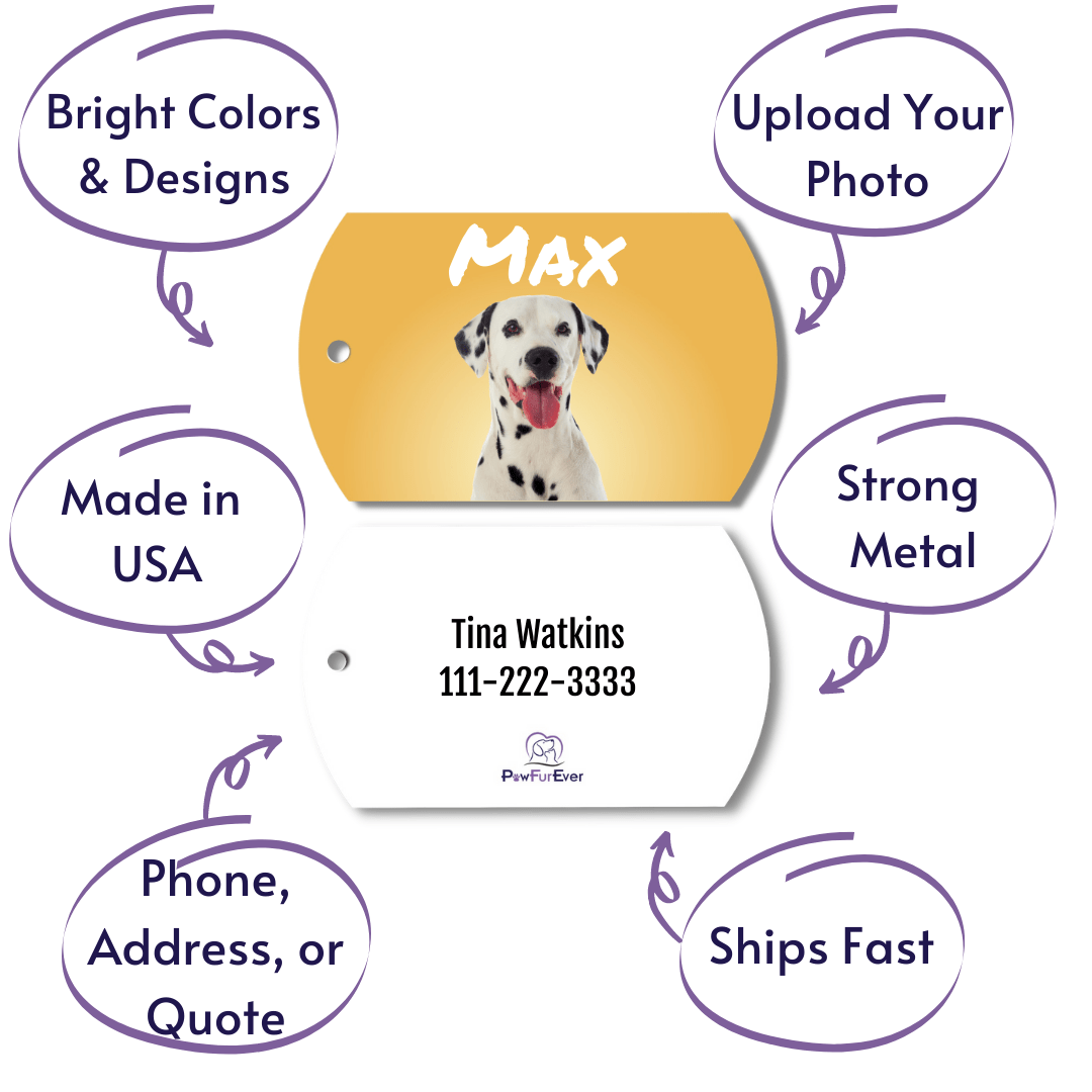 Photo Tag - Photo Tag (Yellow)