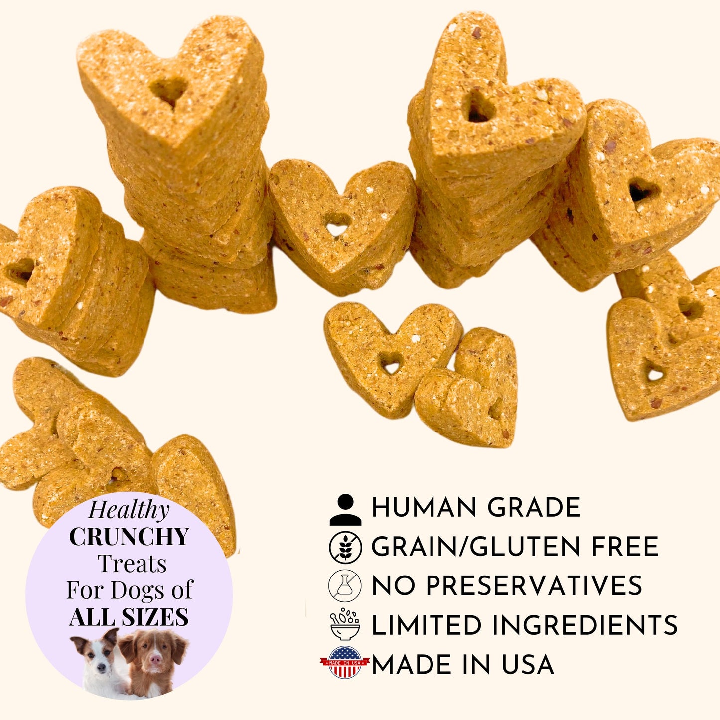 Treats - Wholesome Cheese & Bacon Dog Treats