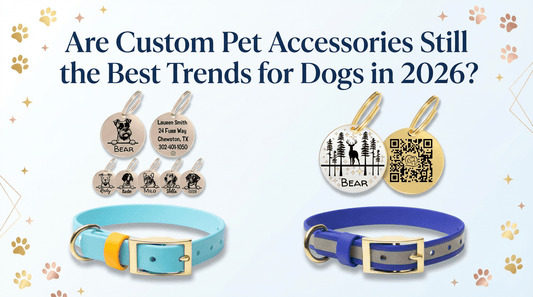 Are Custom Pet Accessories Still the Best Trend for Dogs in 2026? - PawFurEver