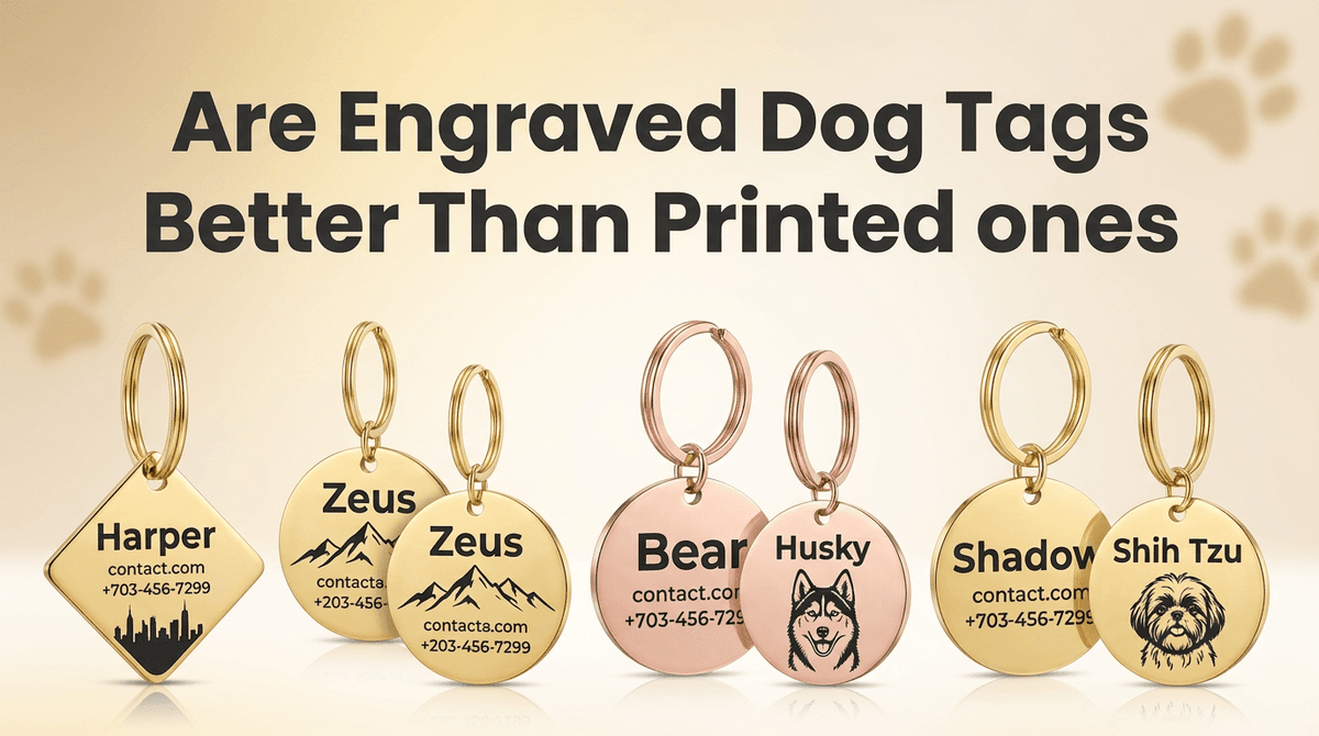 Are Engraved Dog Tags Better Than Printed Ones? - PawFurEver