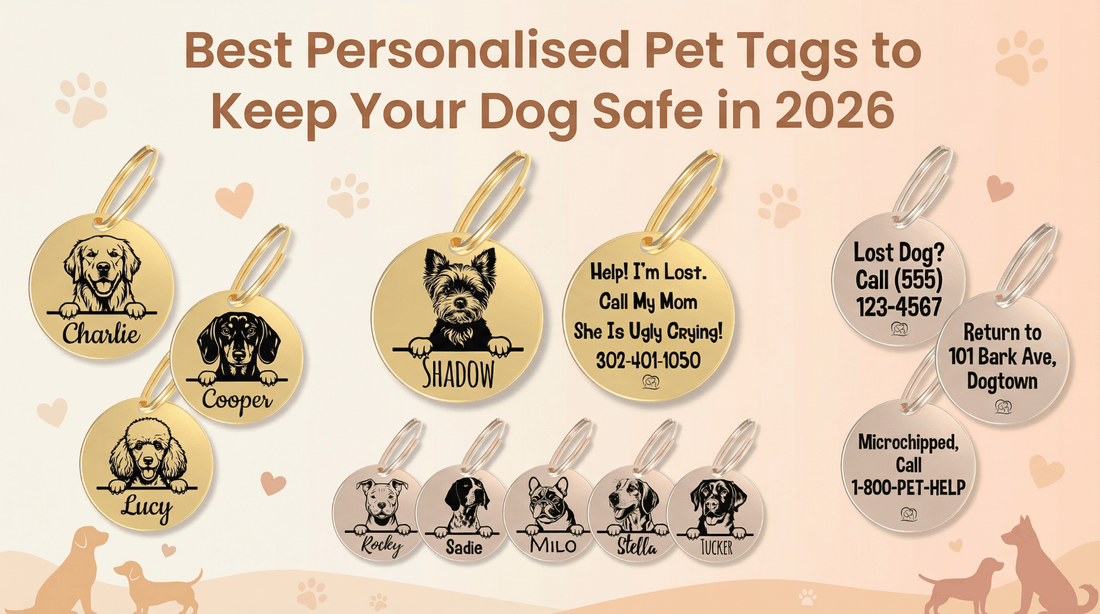 Best Personalized Pet Tags to Keep Your Dog Safe in 2026? - PawFurEver