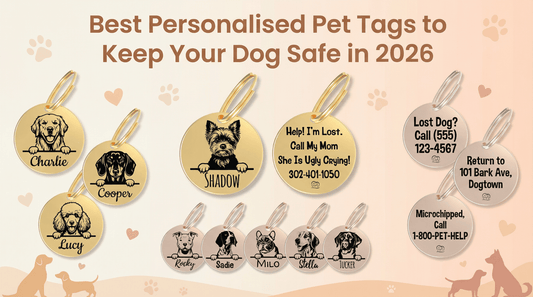 Best Personalized Pet Tags to Keep Your Dog Safe in 2026? - PawFurEver