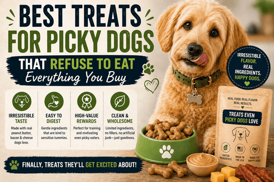 Best Treats for Picky Dogs That Refuse to Eat Everything You Buy - PawFurEver