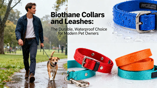 Biothane Collars and Leashes: The Durable, Waterproof Choice for Modern Pet Owners - PawFurEver