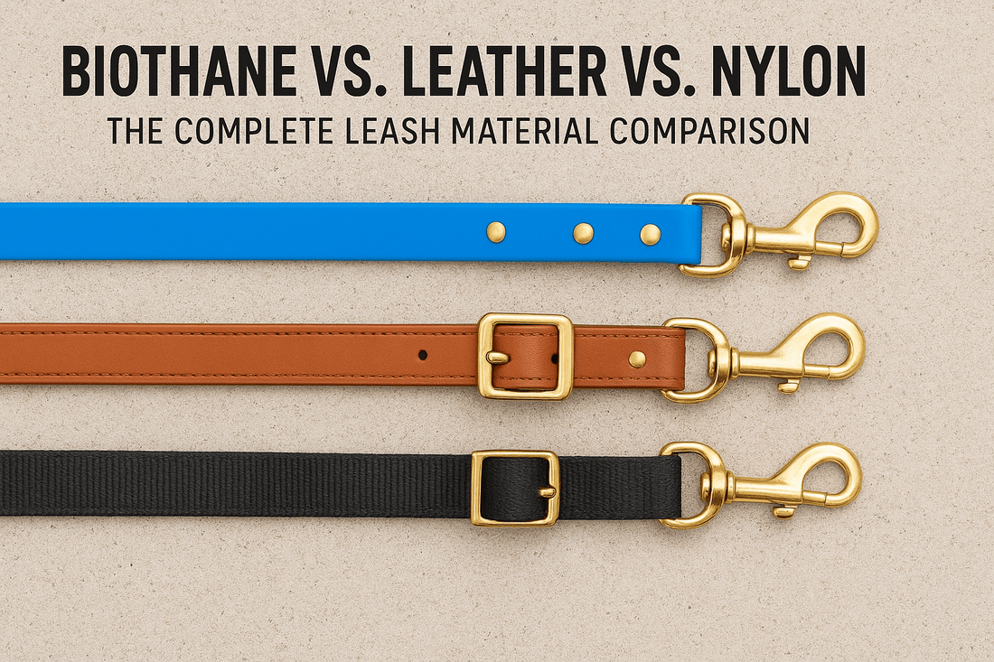 Biothane vs. Leather vs. Nylon: The Complete Leash Material Comparison - PawFurEver