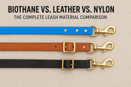 Biothane vs. Leather vs. Nylon: The Complete Leash Material Comparison - PawFurEver
