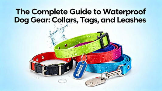 The Complete Guide to Waterproof Dog Gear: Collars, Tags, and Leashes