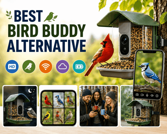 Discover the Best Bird Buddy Alternative for Birdwatching Enthusiasts - PawFurEver