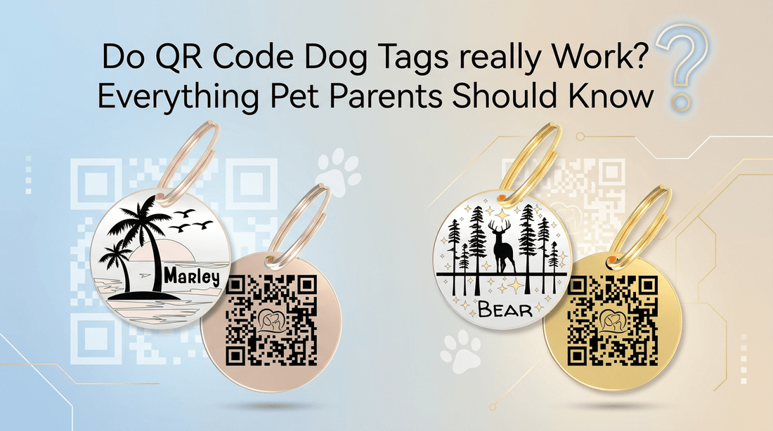 Do QR Code Dog Tags Really Work? Everything Pet Parents Should Know - PawFurEver