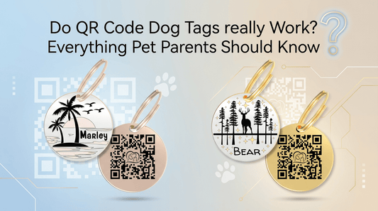 Do QR Code Dog Tags Really Work? Everything Pet Parents Should Know - PawFurEver