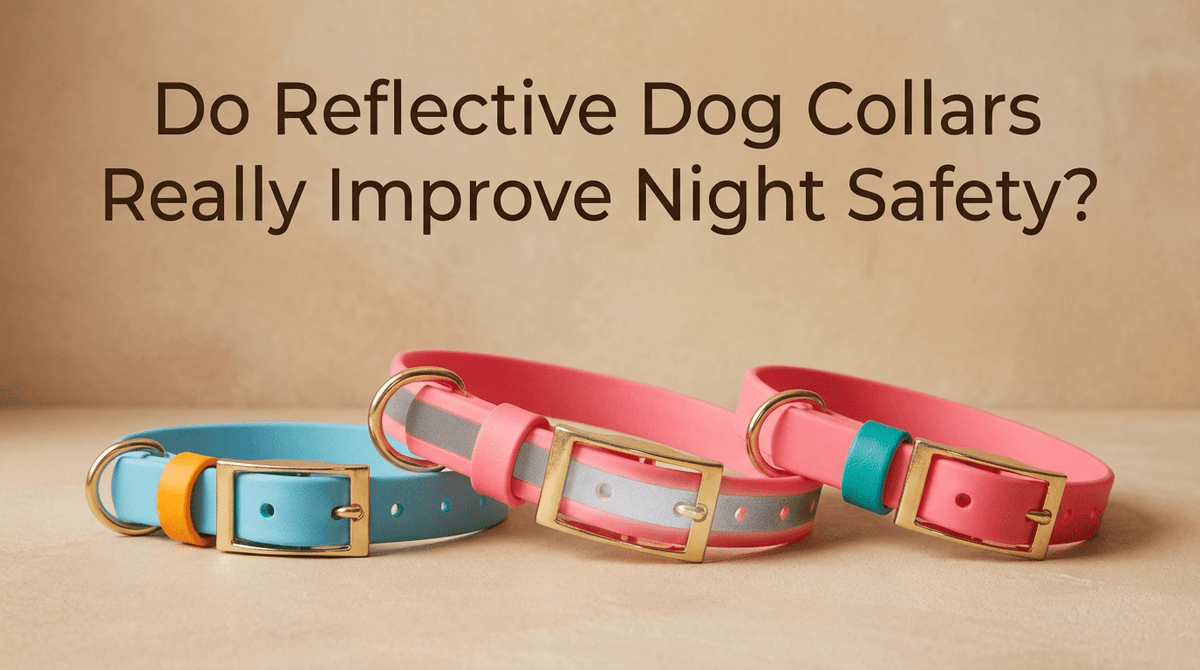 Do Reflective Dog Collars Really Improve Night Safety? - PawFurEver