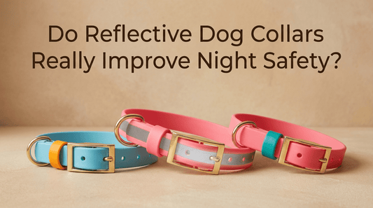 Do Reflective Dog Collars Really Improve Night Safety? - PawFurEver