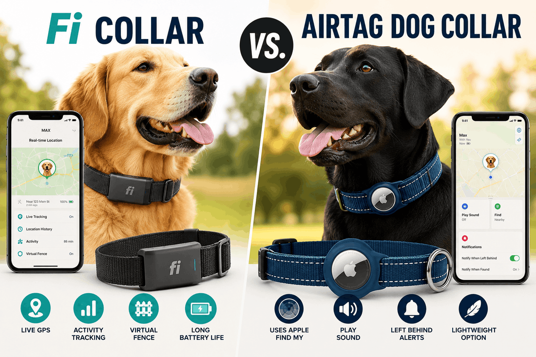 Fi Collar vs. AirTag Dog Collar: Full Comparison for 2026 - PawFurEver